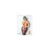 Bodystocking  en résille avec maille  large - Le Numéro 11 - Collection Bodystocking 
